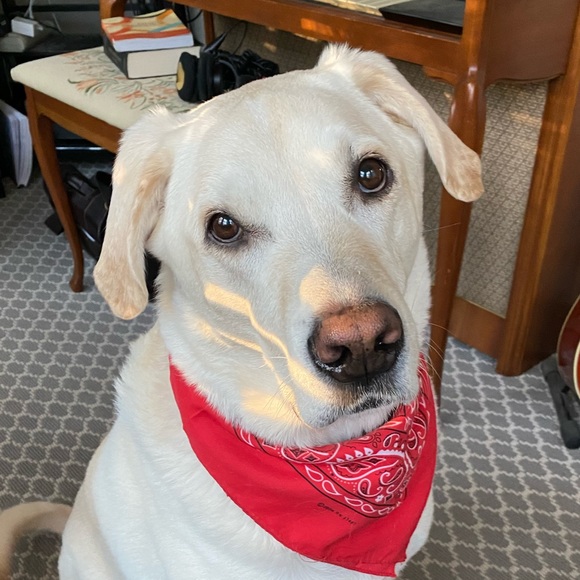 Meet your Posher, Shawna - Picture 1 of 1